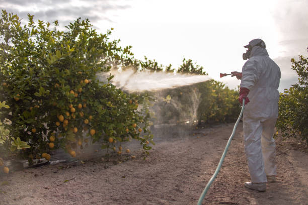 Pest Control Cost in Farwell, TX
