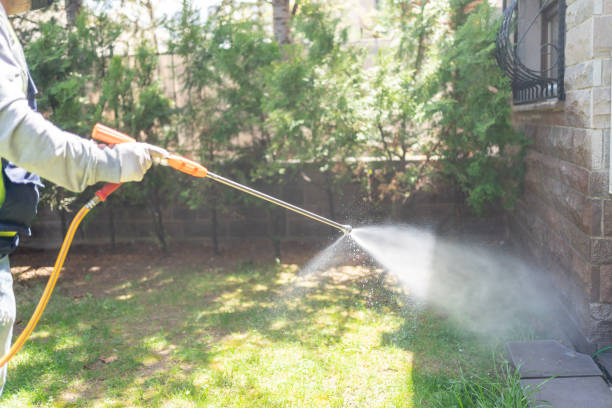 Best Best Pest Control Companies  in Farwell, TX
