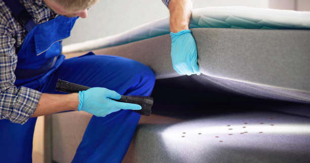 Best Cockroach Control Services  in Farwell, TX