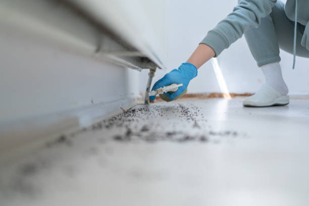 Best Bed Bug Extermination  in Farwell, TX