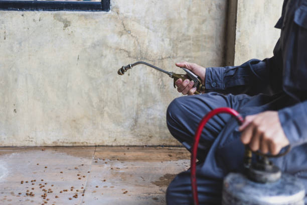 Flea Control Services in Farwell, TX
